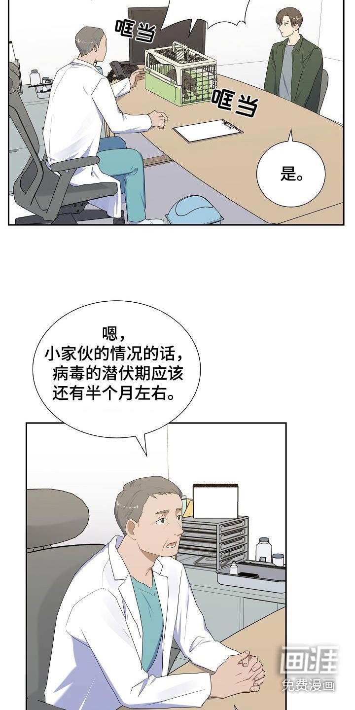 第64章：好好相处