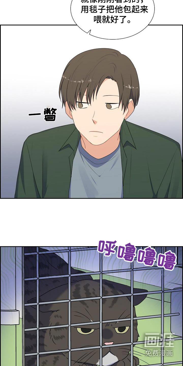 第64章：好好相处