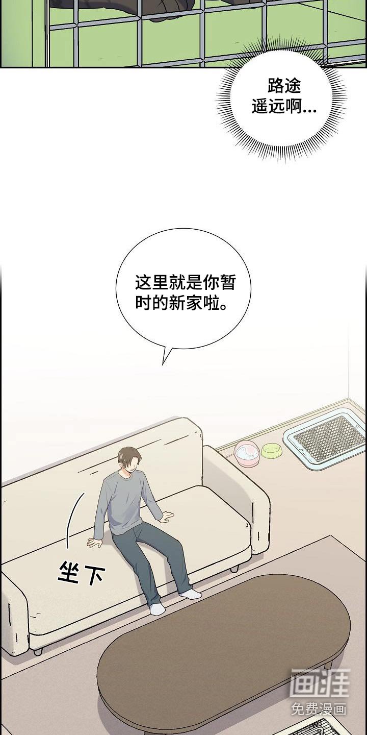 第64章：好好相处