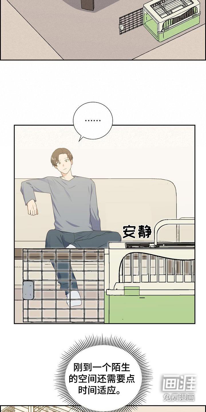 第64章：好好相处
