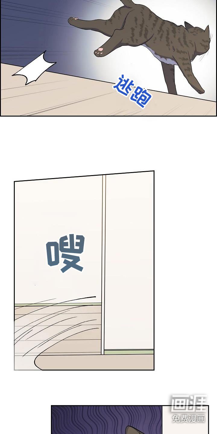第64章：好好相处