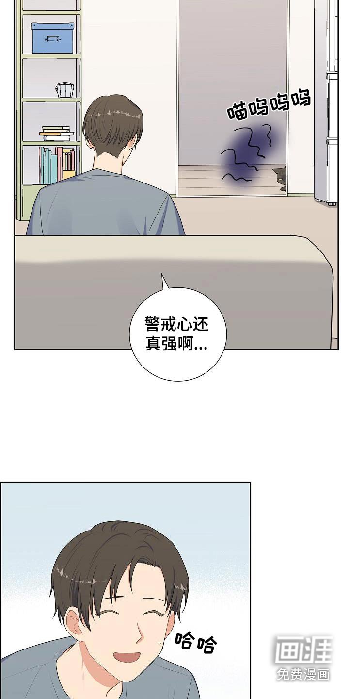 第64章：好好相处