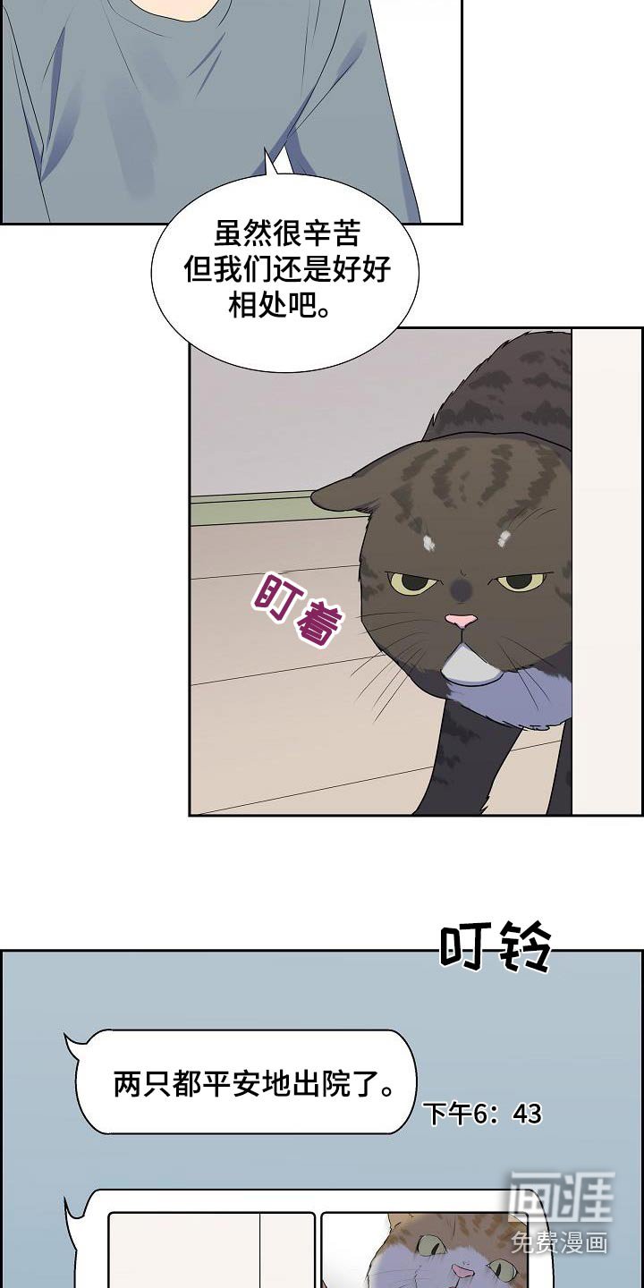 第64章：好好相处