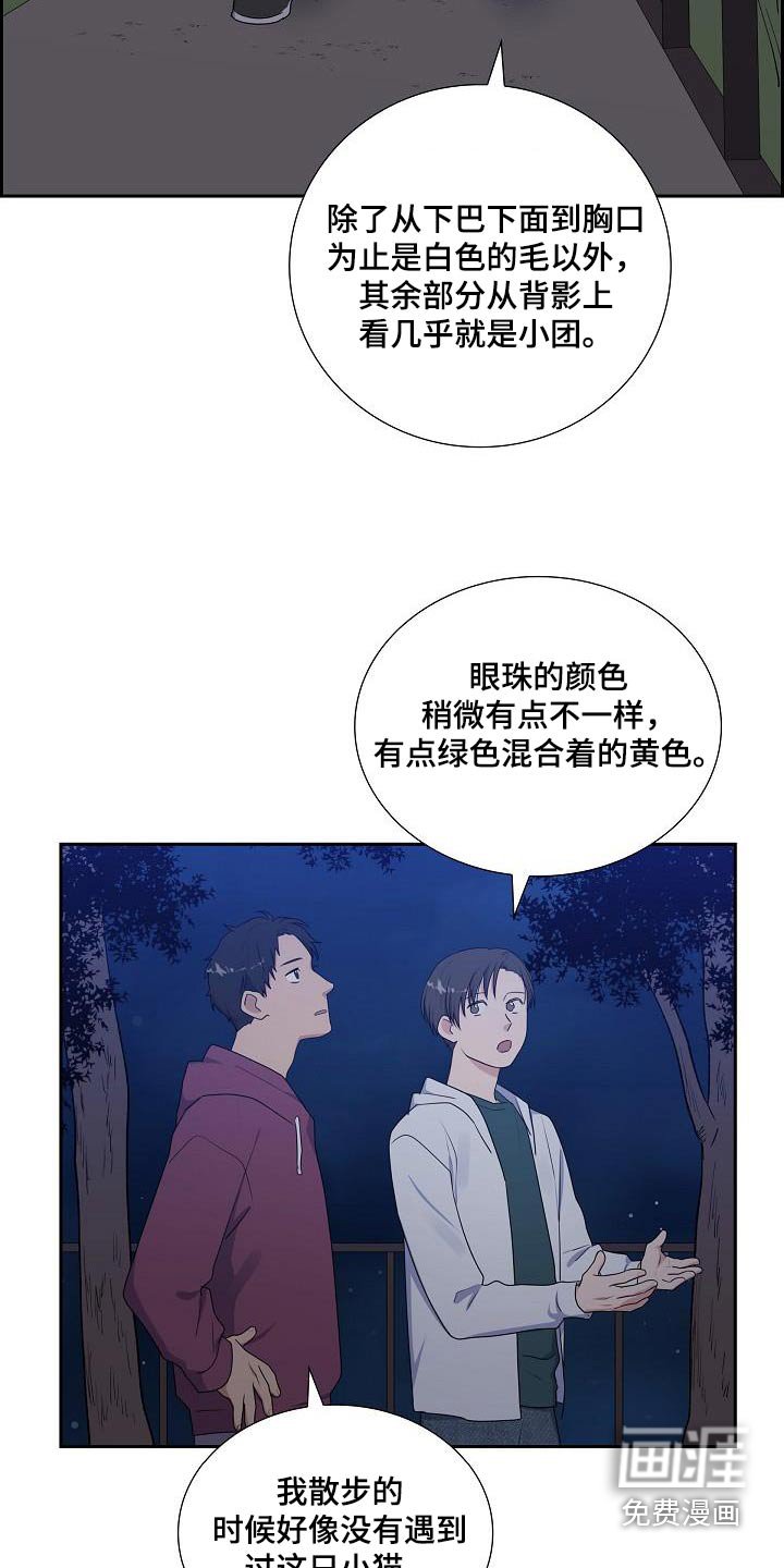 第66章：快追