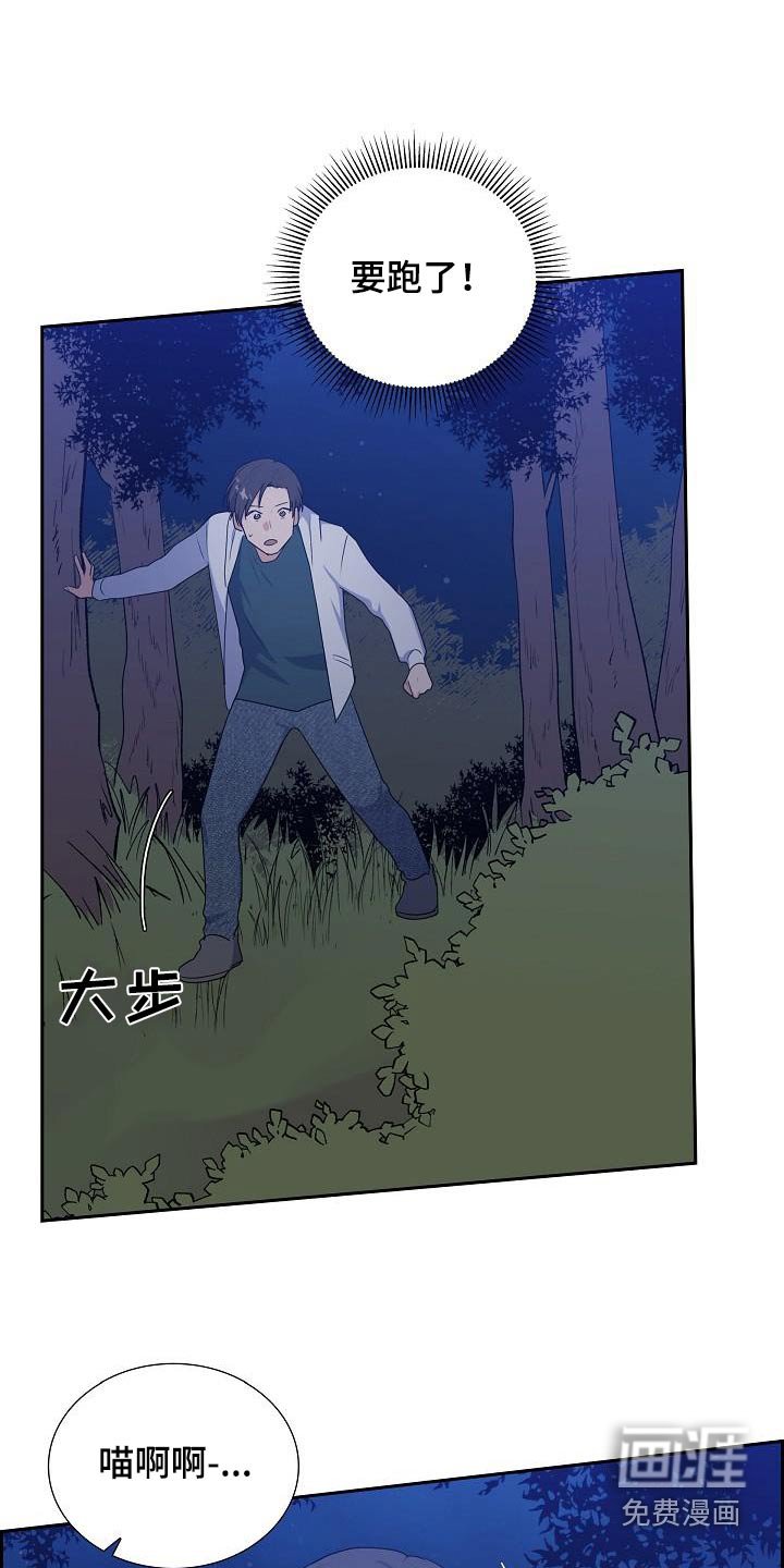 第66章：快追