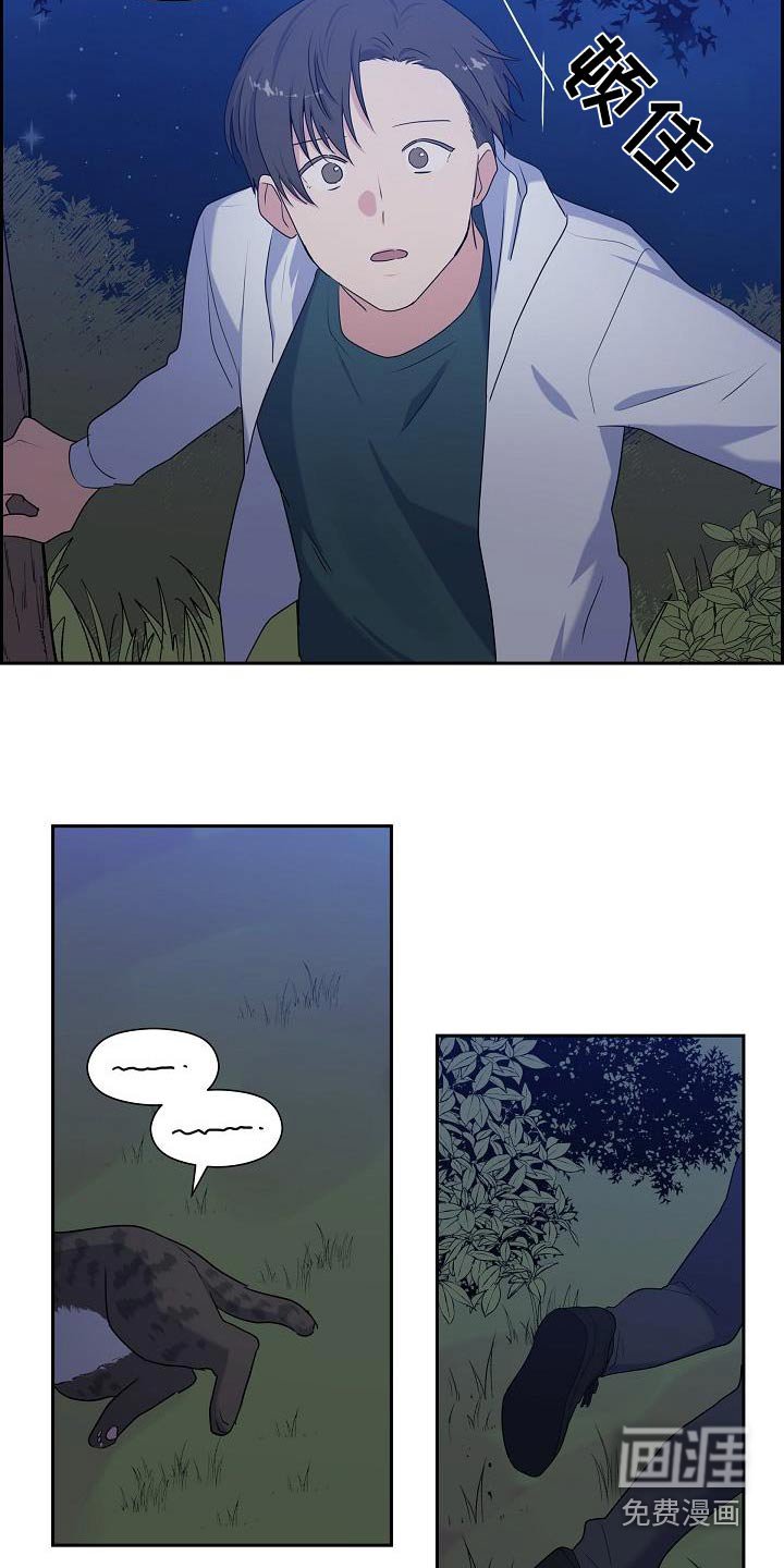 第66章：快追