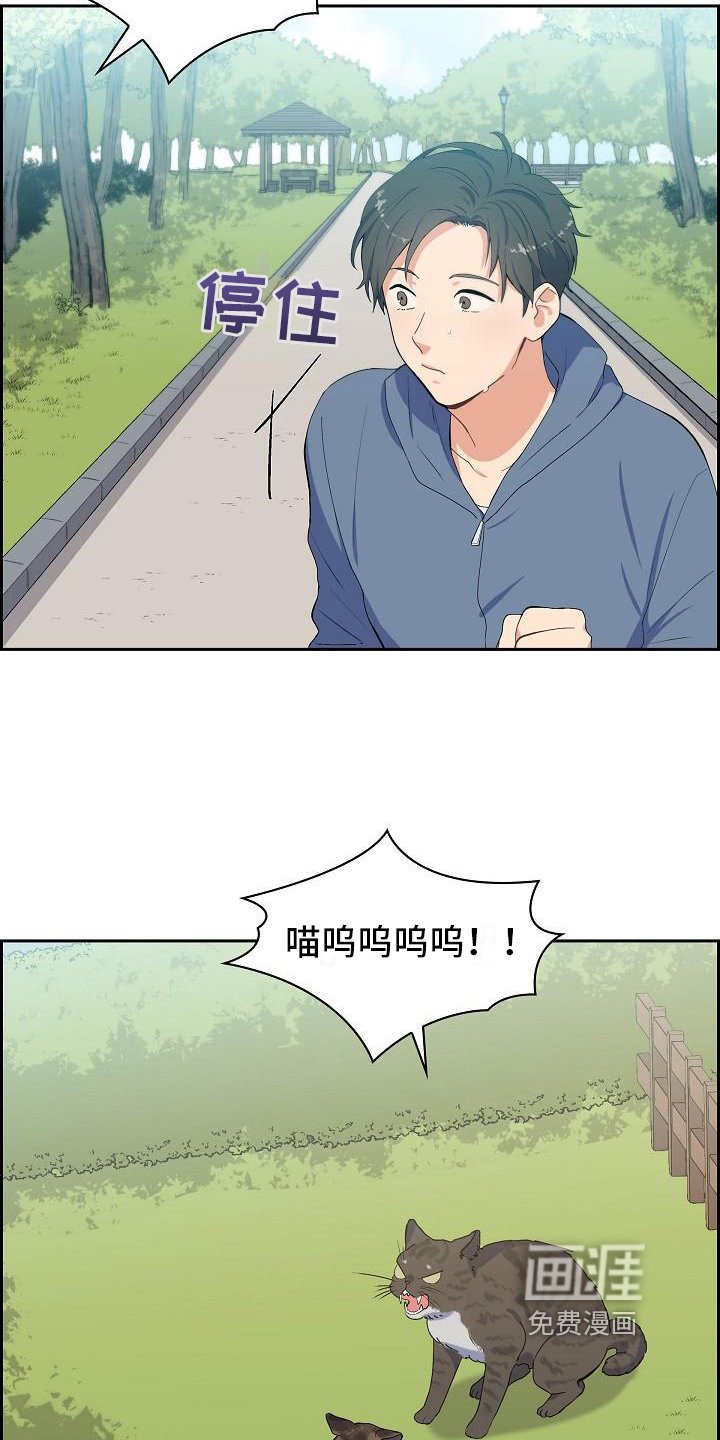 第7章：猫的纷争