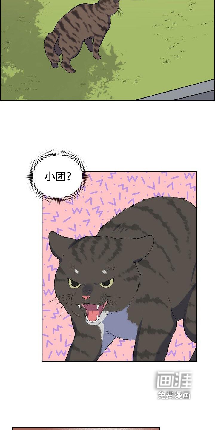 第7章：猫的纷争