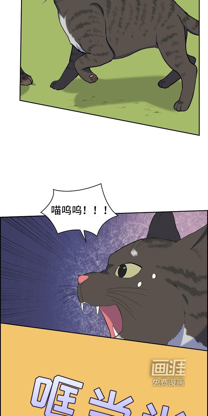第7章：猫的纷争