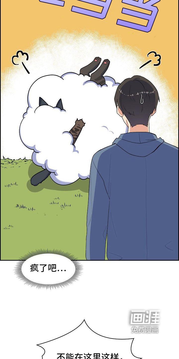 第7章：猫的纷争