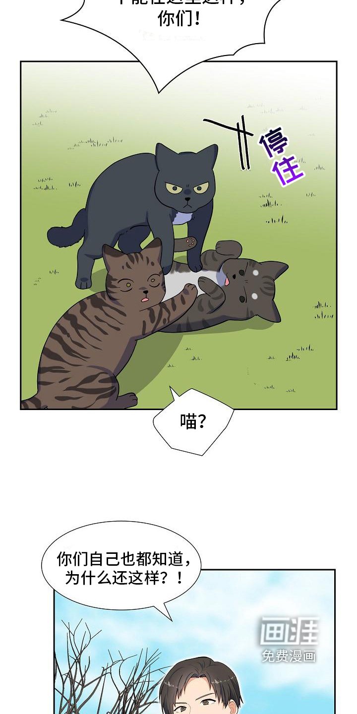 第7章：猫的纷争