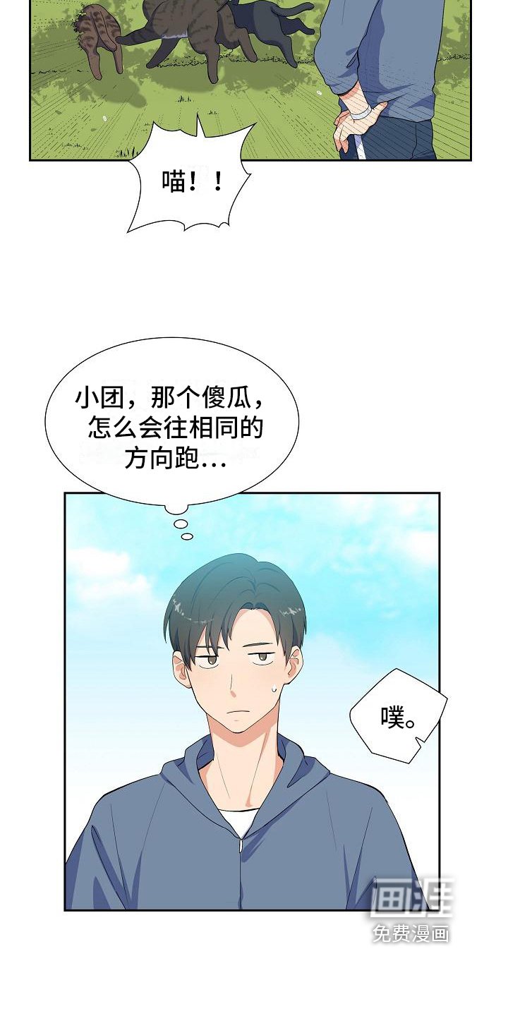第7章：猫的纷争