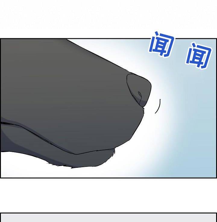 第73章：睡觉啦
