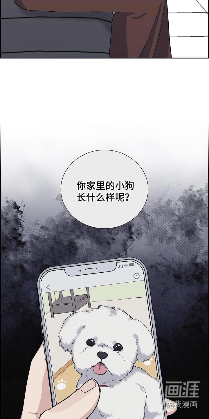 第75章：恢复中