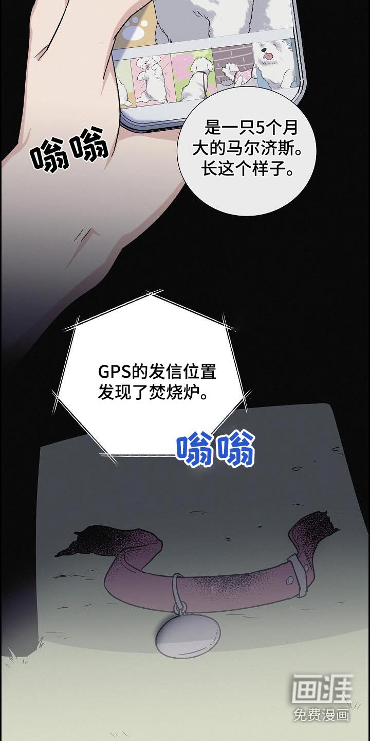 第75章：恢复中