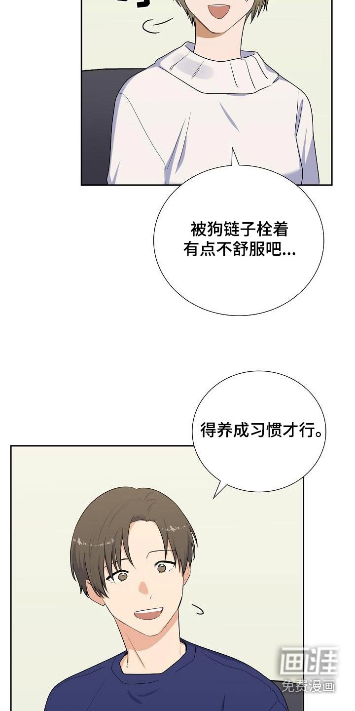第75章：恢复中