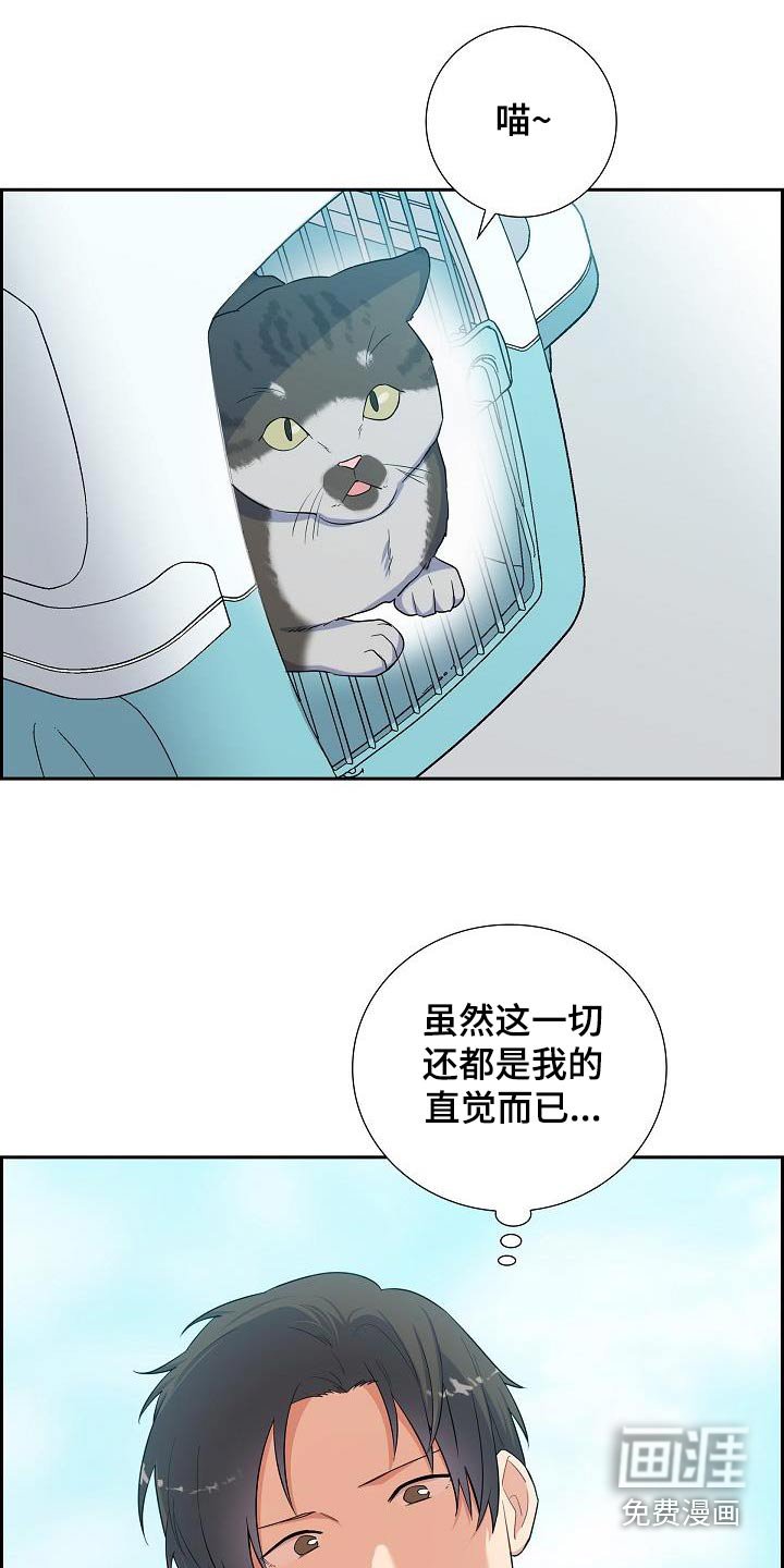 第79章：猜想