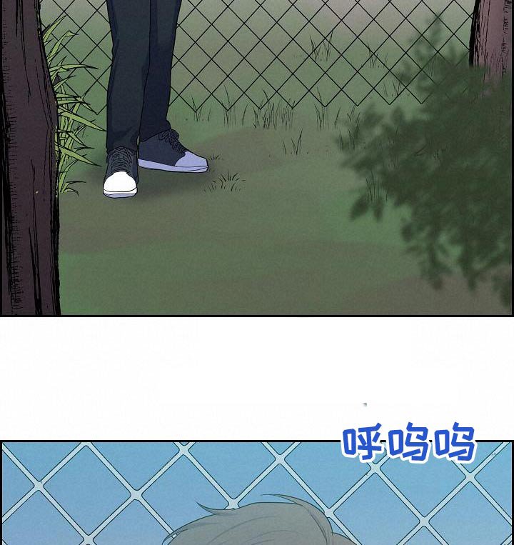 第85章：公园上方