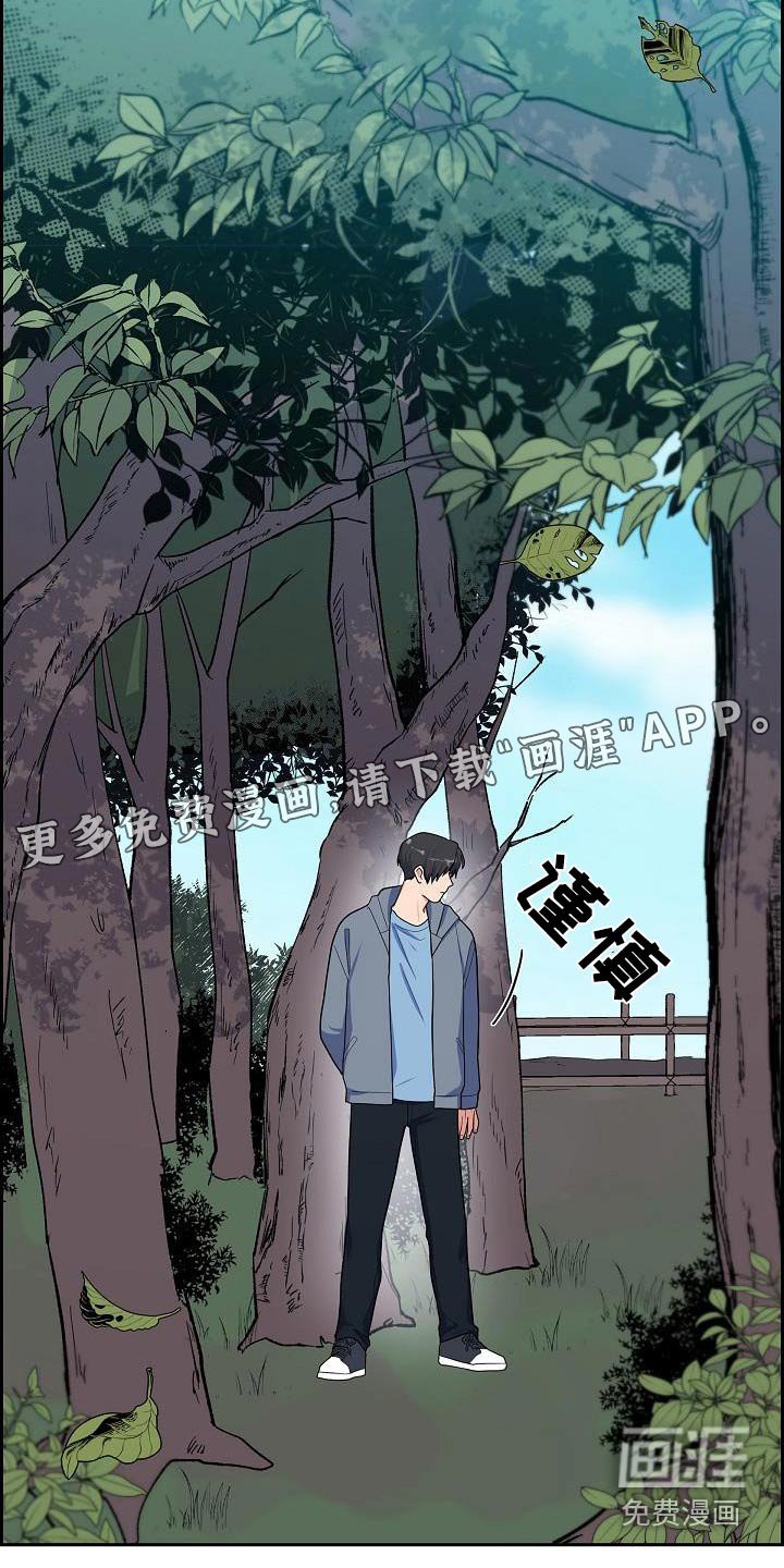 第85章：公园上方