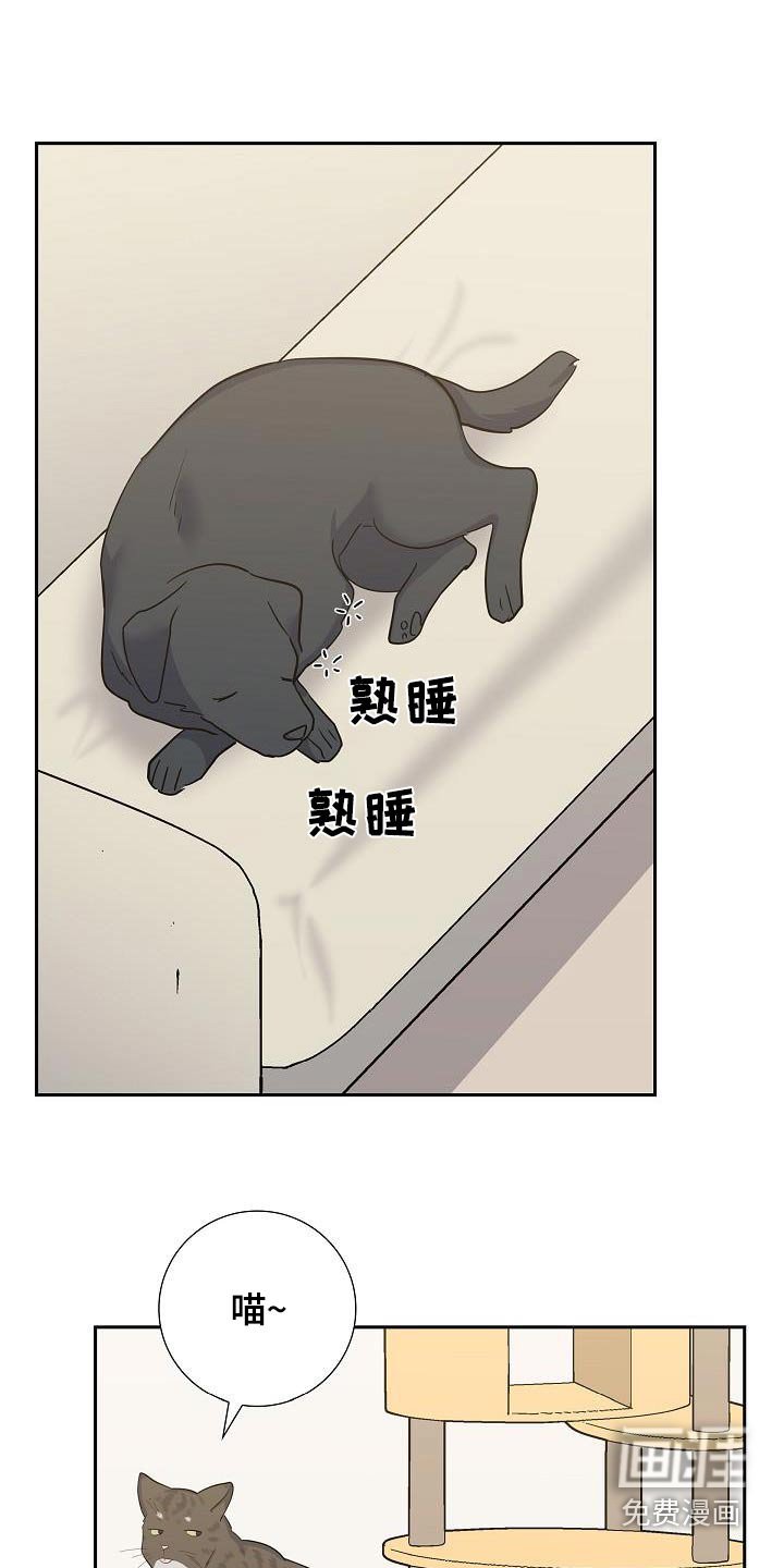 第93章：看电影