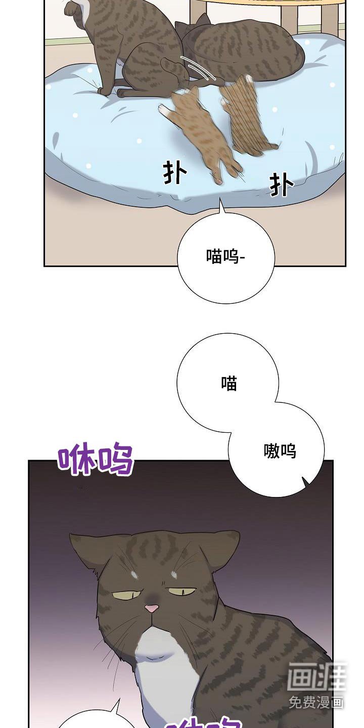 第93章：看电影