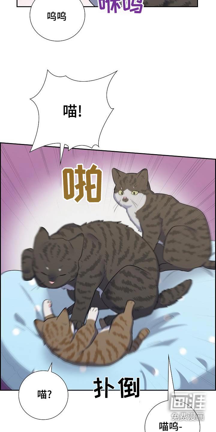 第93章：看电影