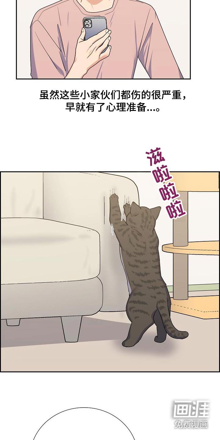 第97章：多少钱