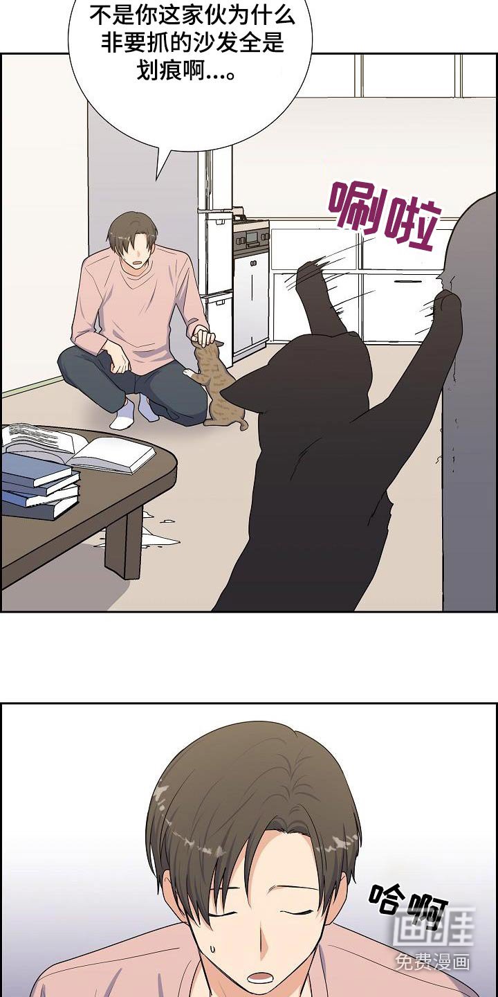 第97章：多少钱