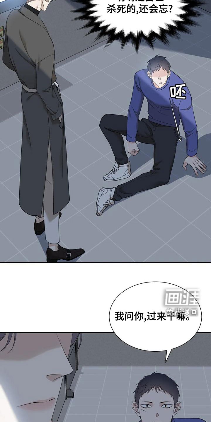 第37章：鳄鱼