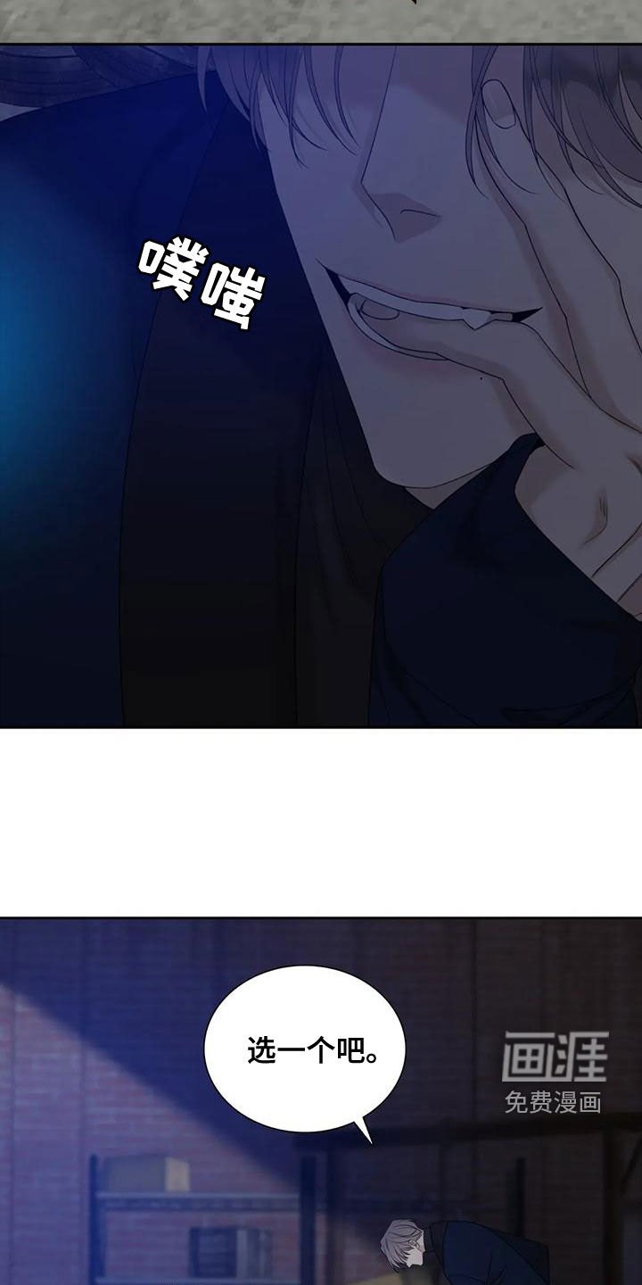 第42章：选一个