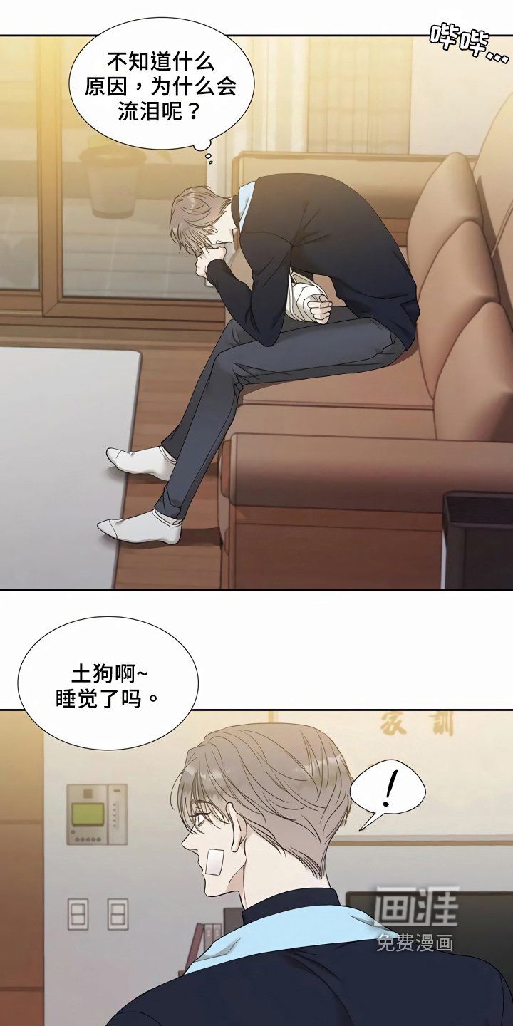 第7章：安心