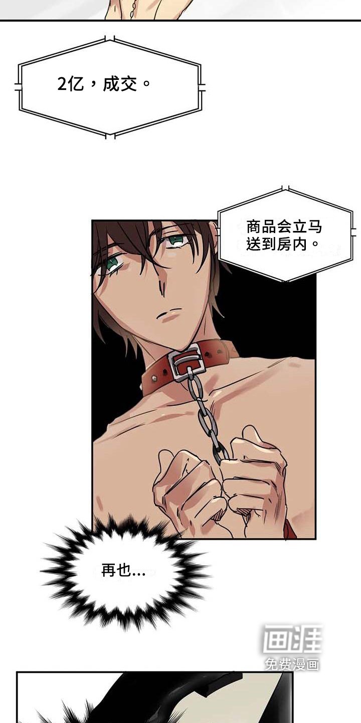 第17章：嫌弃