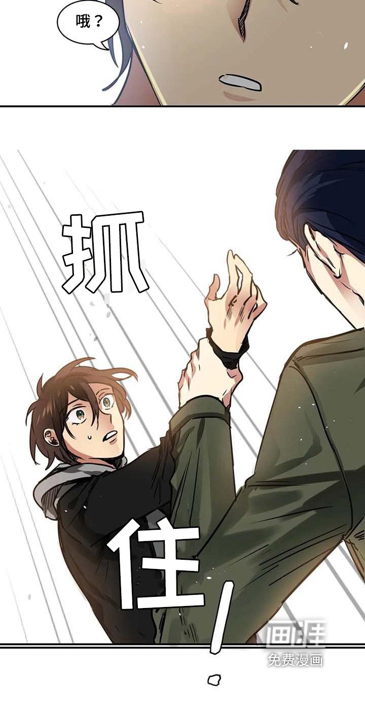 第18章：建议