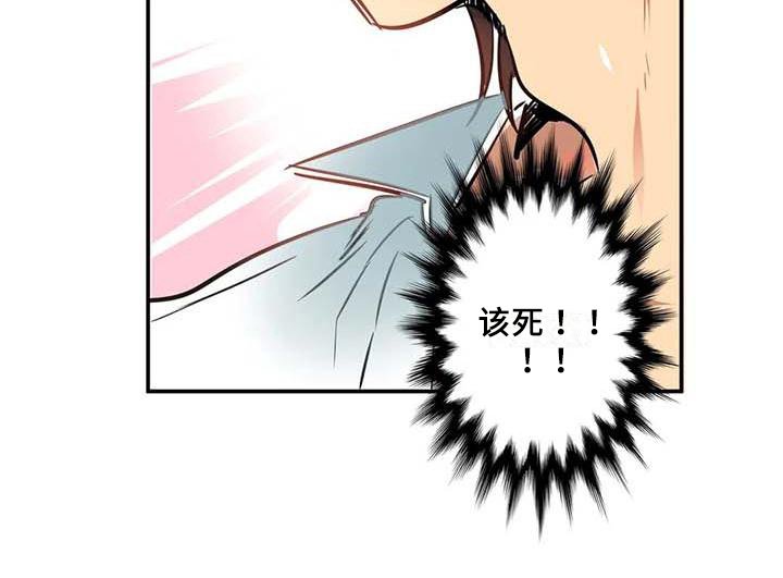 第6章：提议