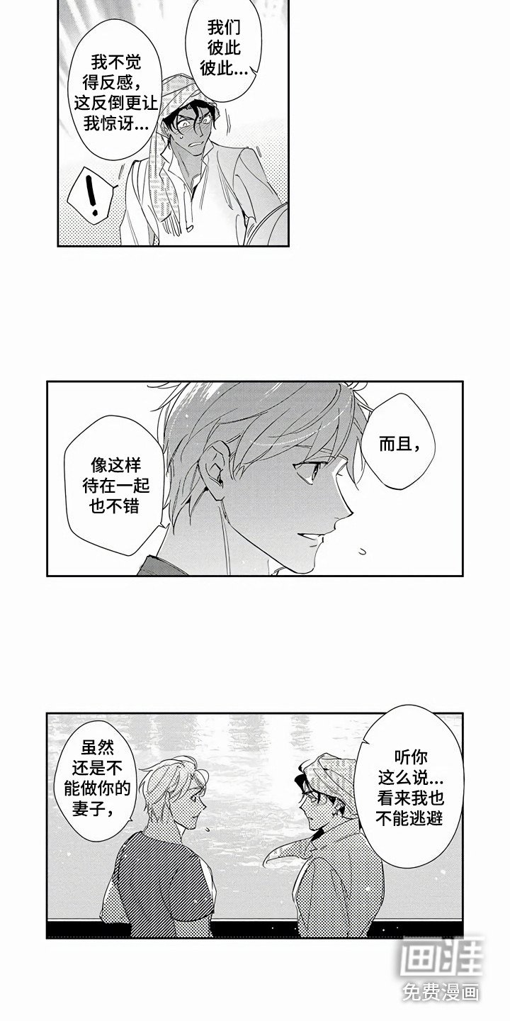 第10章：可以理解