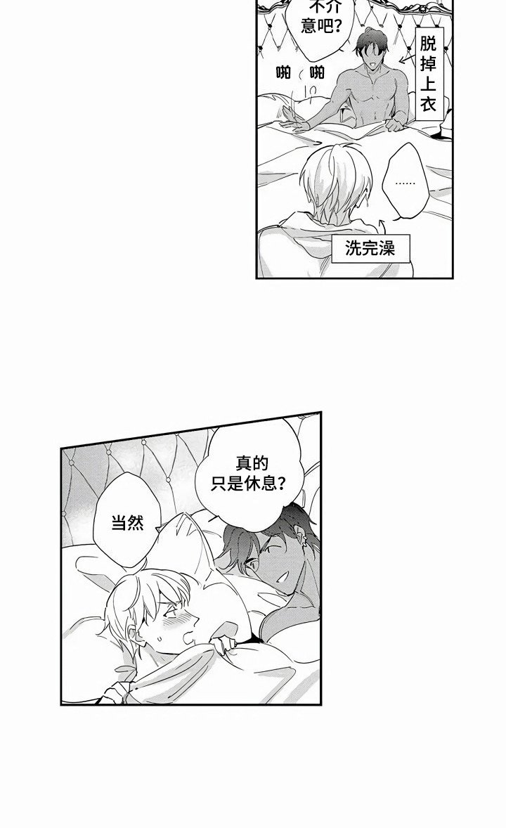 第10章：可以理解