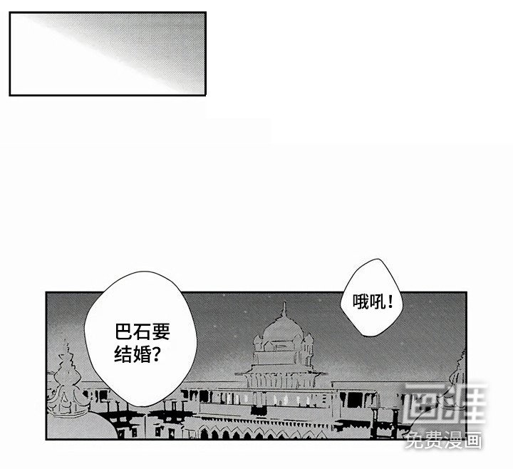 第11章：回府邸