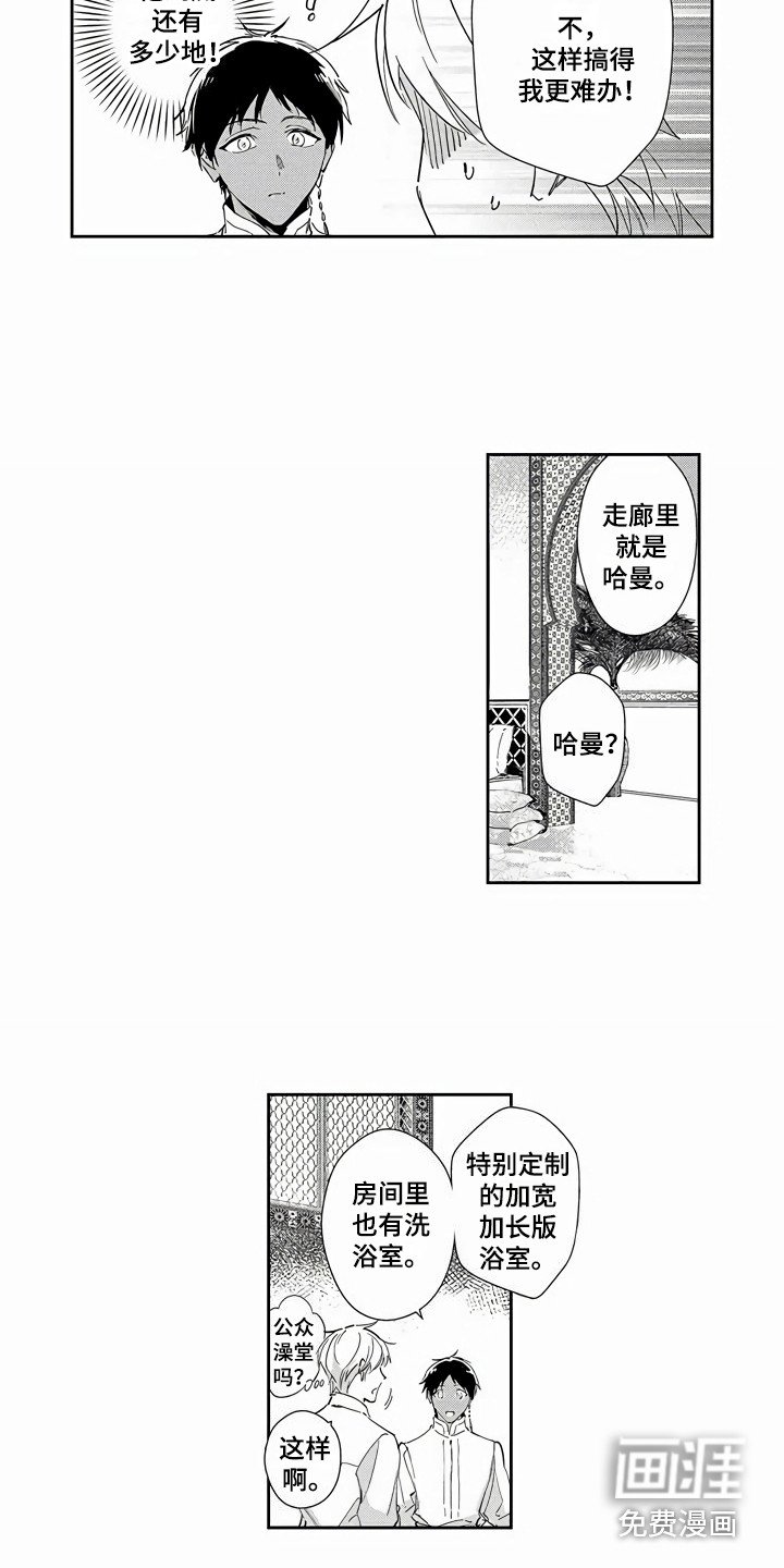 第12章：就是本人