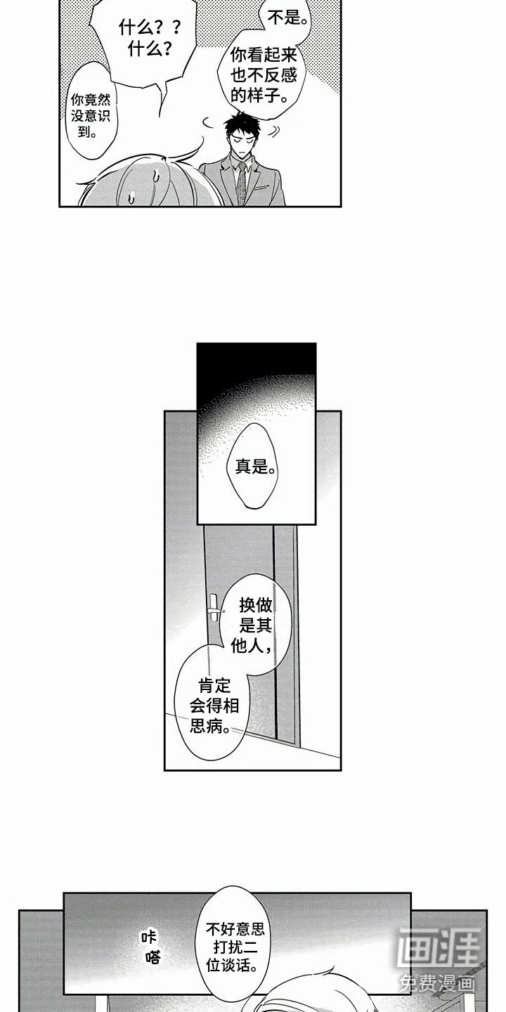 第19章：替代品