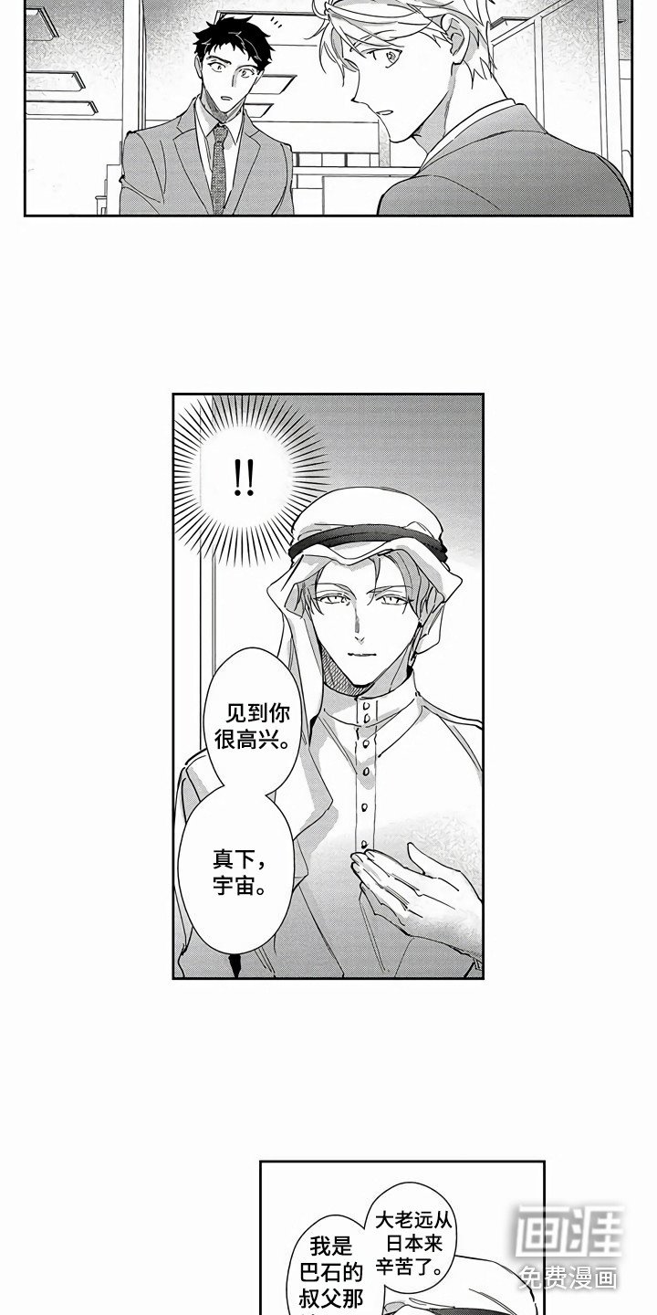 第19章：替代品