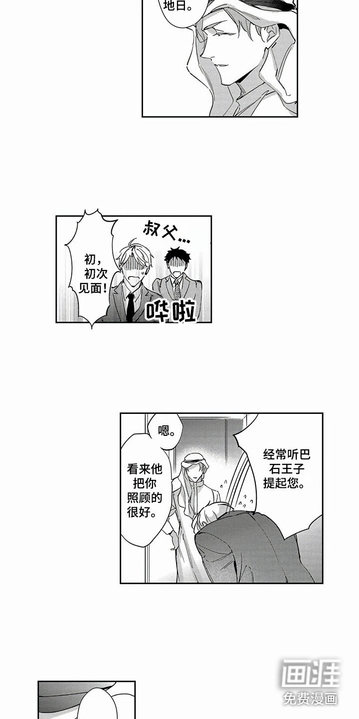 第19章：替代品