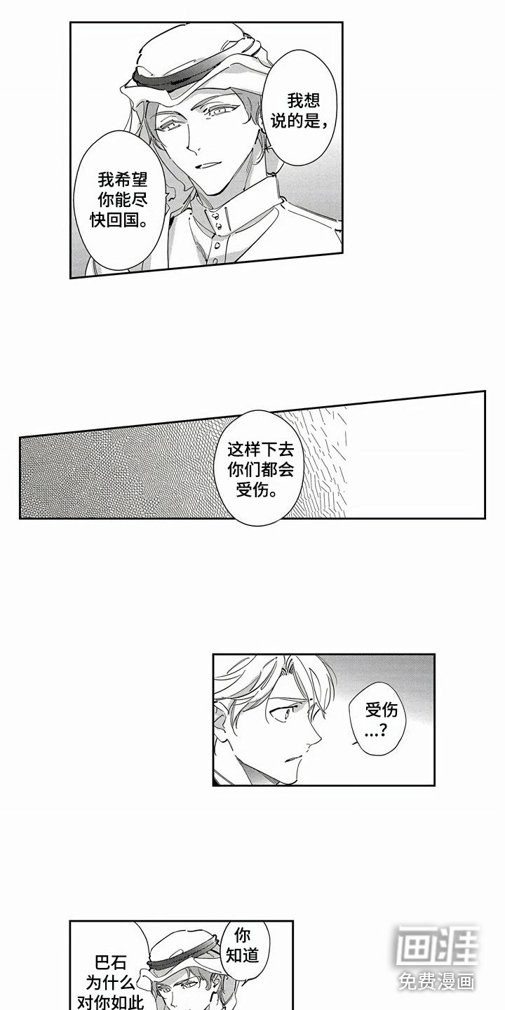 第19章：替代品