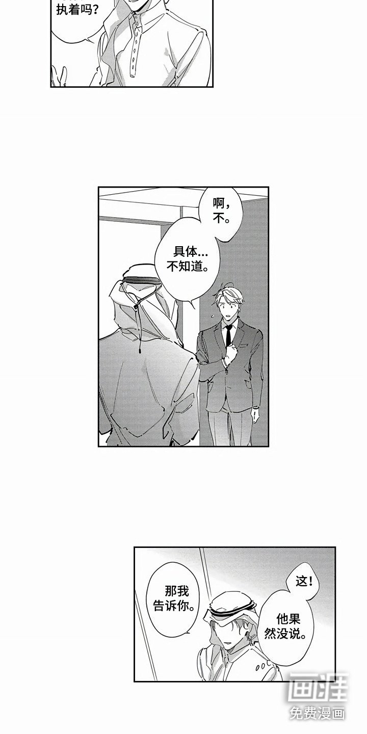 第19章：替代品