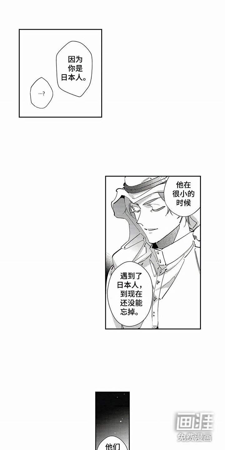 第19章：替代品