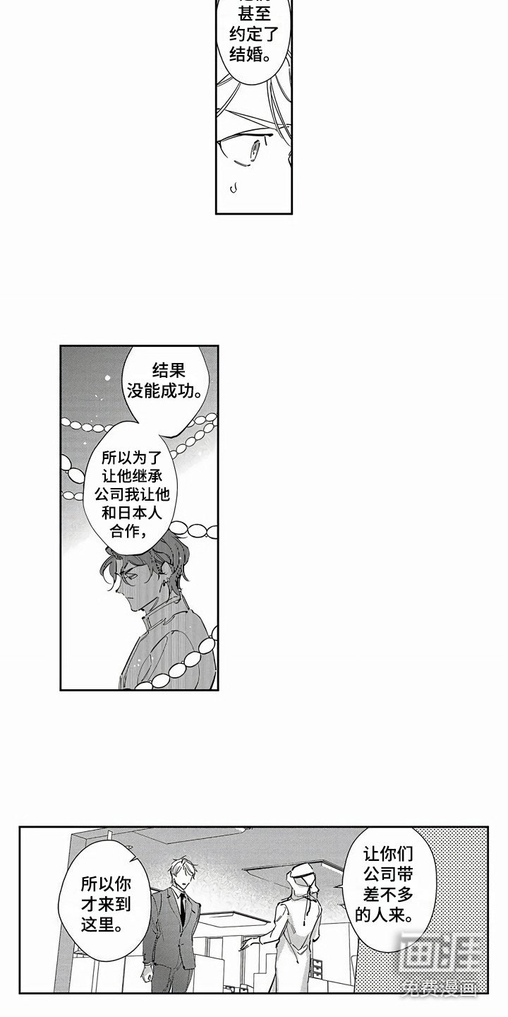 第19章：替代品