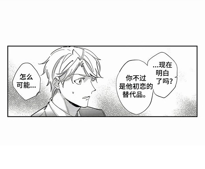 第19章：替代品