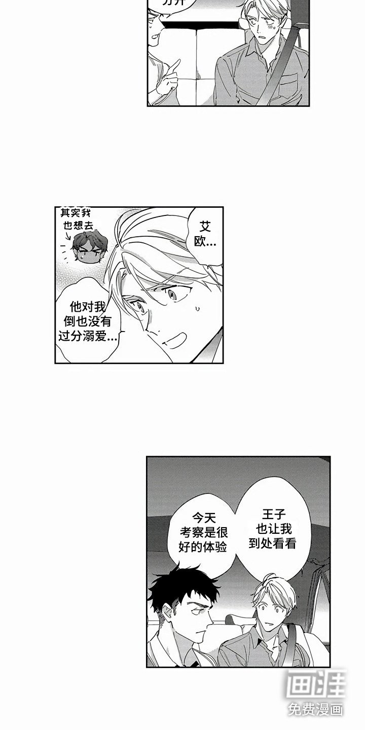 第20章：胡思乱想