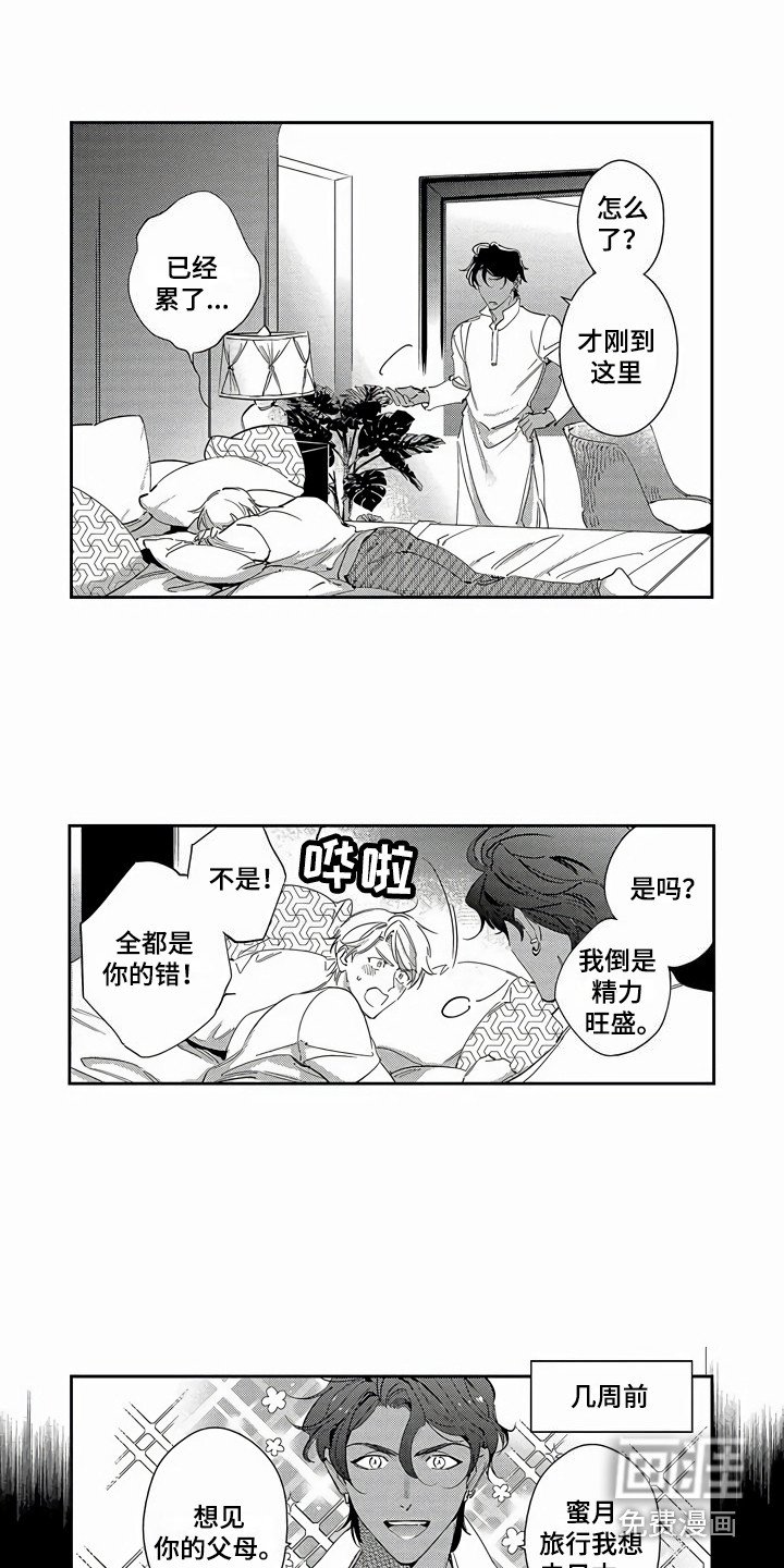 第25章：【番外】蜜月旅行
