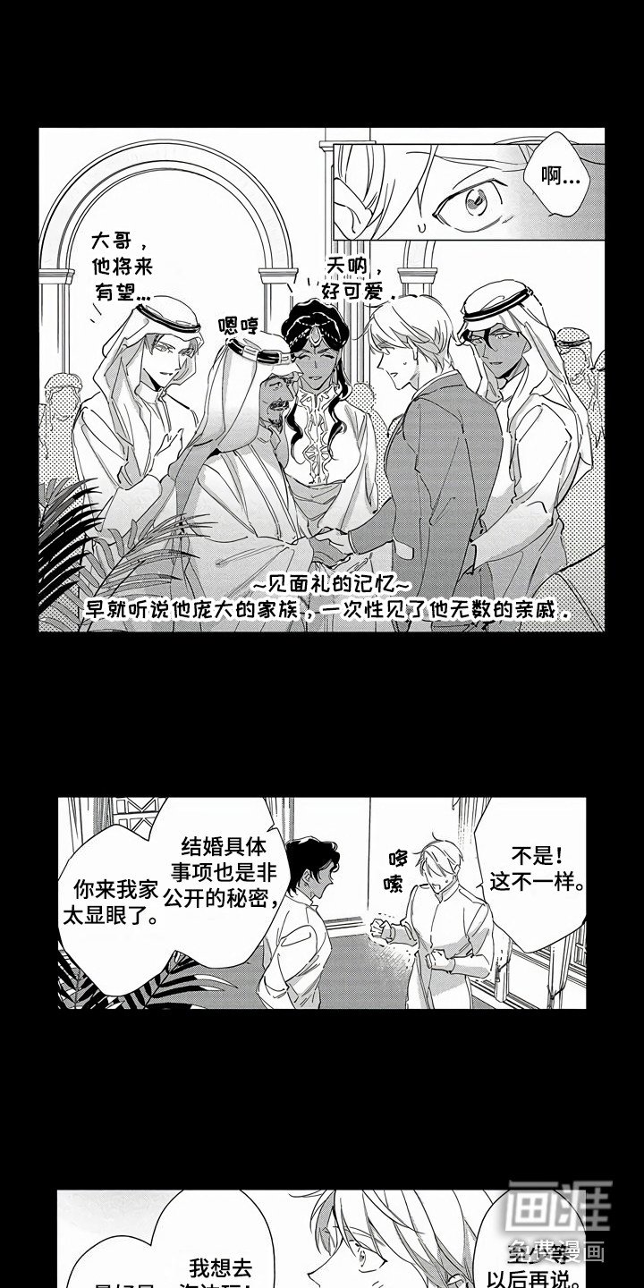第25章：【番外】蜜月旅行