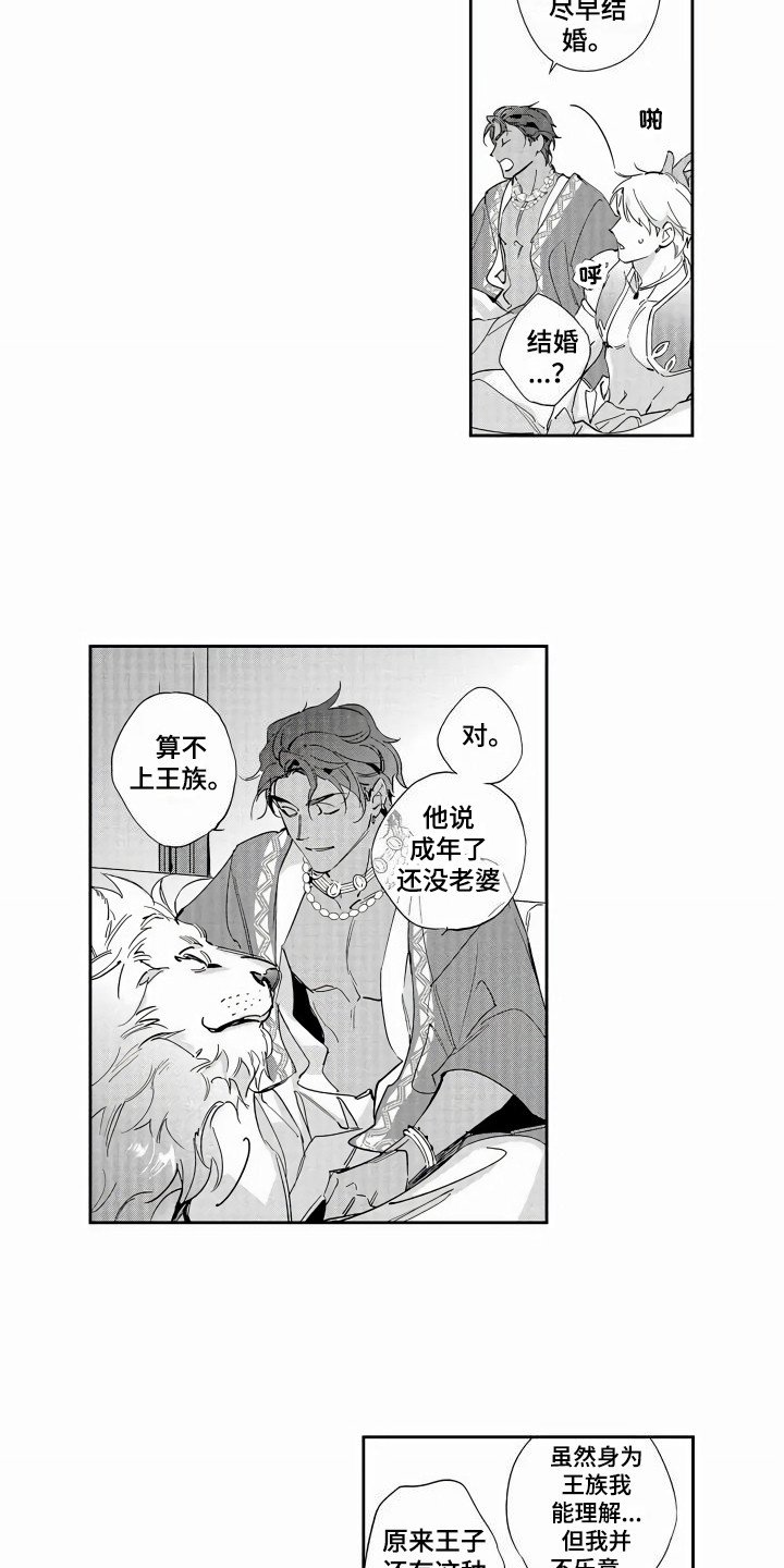 第3章：喜欢的类型